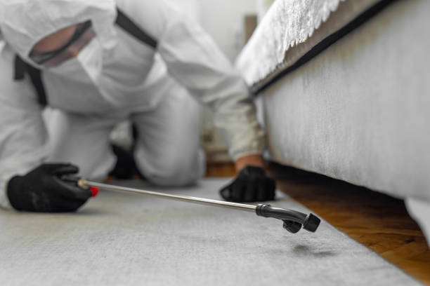 Professional Bed Bug Control technician working in Newton County County, GA